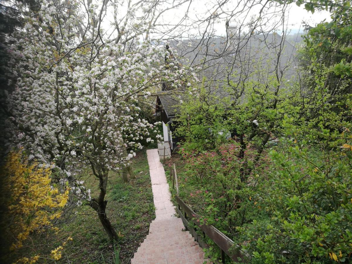 Holiday House Cervena Veza Πιεστάνυ Εξωτερικό φωτογραφία